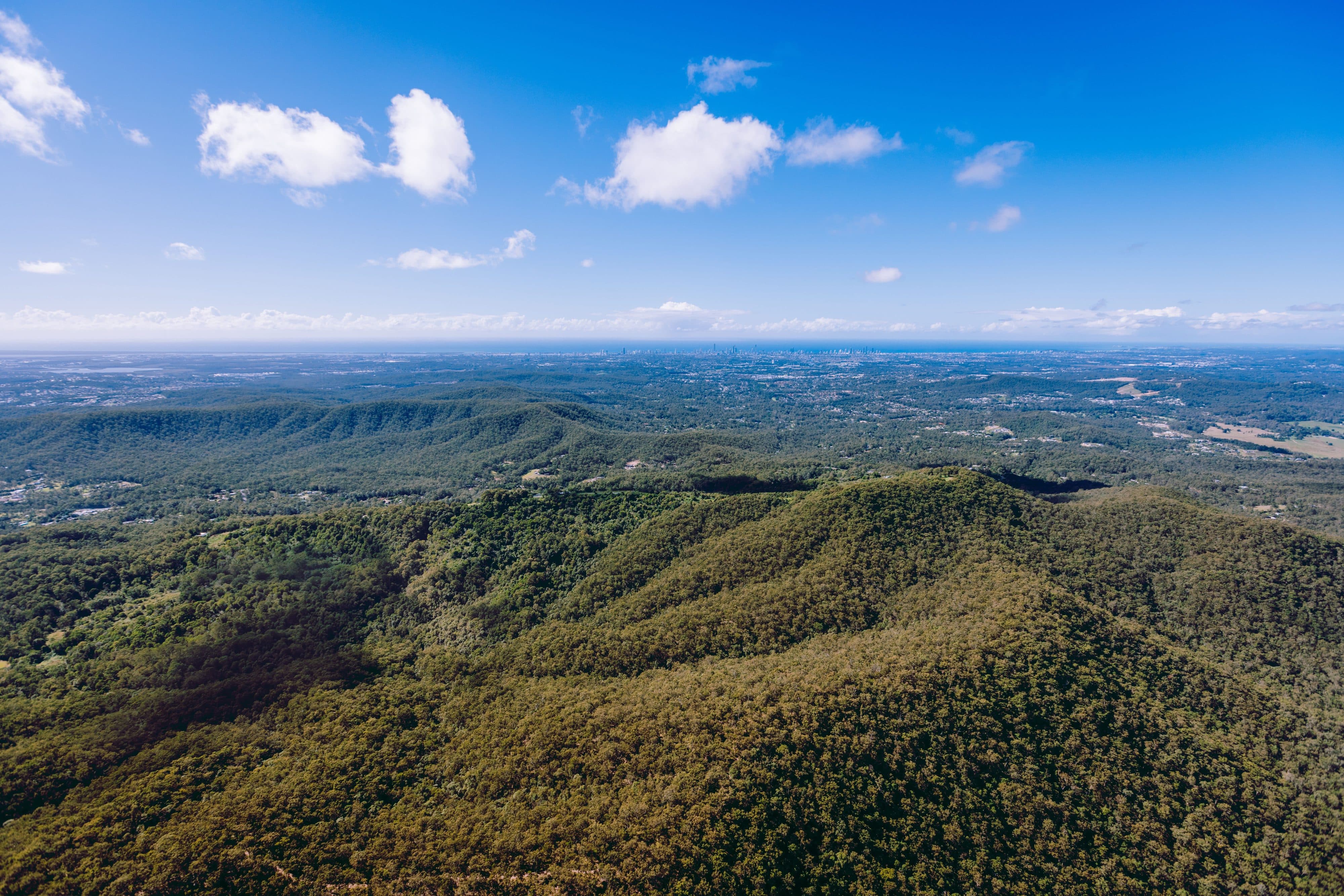 City Secures 143ha of Key Wildlife Corridor in Mount Nathan