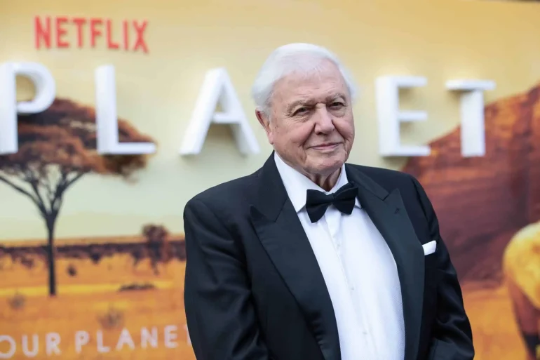Celebrate David Attenborough as he turns 100. Look back at his early life, incredible wildlife encounters and lasting legacy.