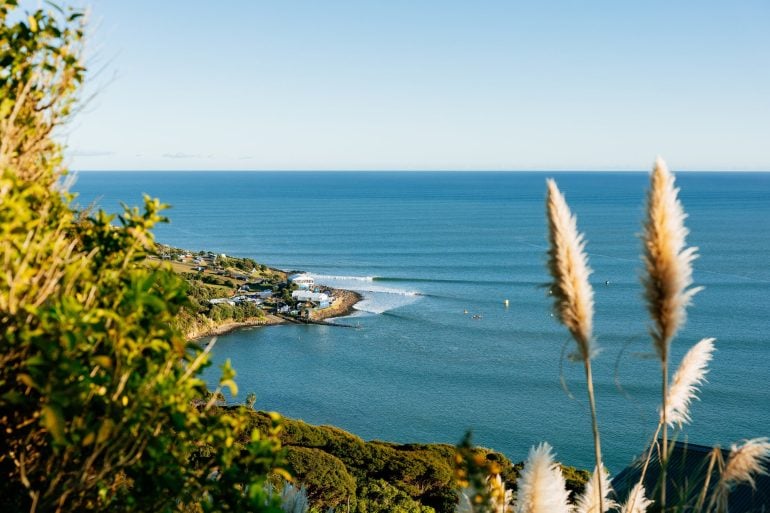 Three Day Break Called for Corona Cero New Zealand Pro