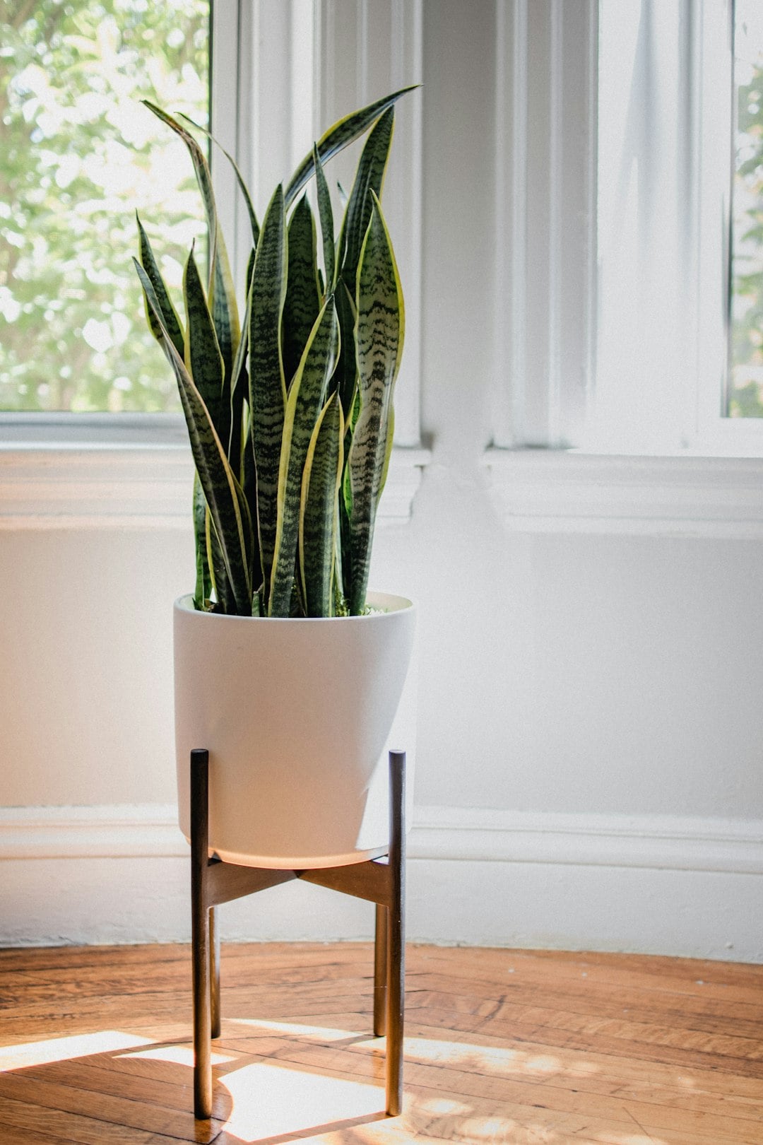 Gold Coast Magazine Editors Picks Editors Pick Trending Trending now What's On